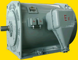 YB560～900系列高壓隔爆型三相異步電動機