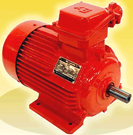 YFB系列粉塵防爆三相異步電動機(jī)