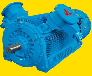 核級電機(jī) 鑒定樣機(jī)