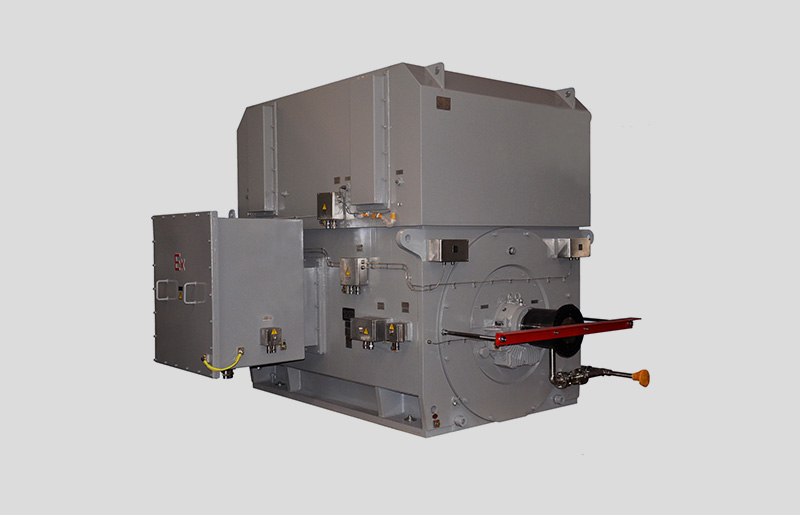 低速同步電動機(jī)